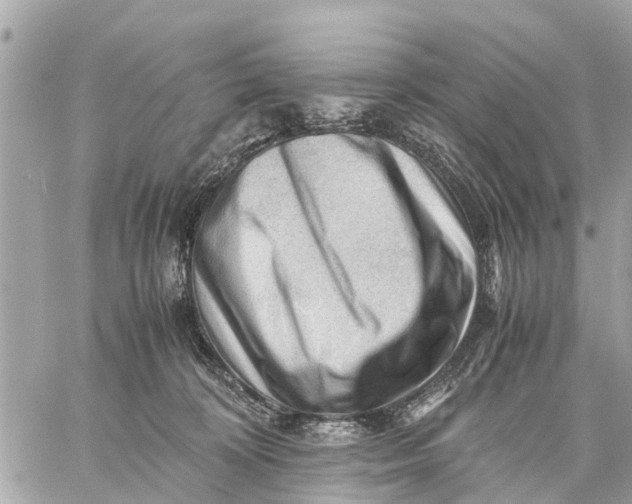 X0000059070324200510281704