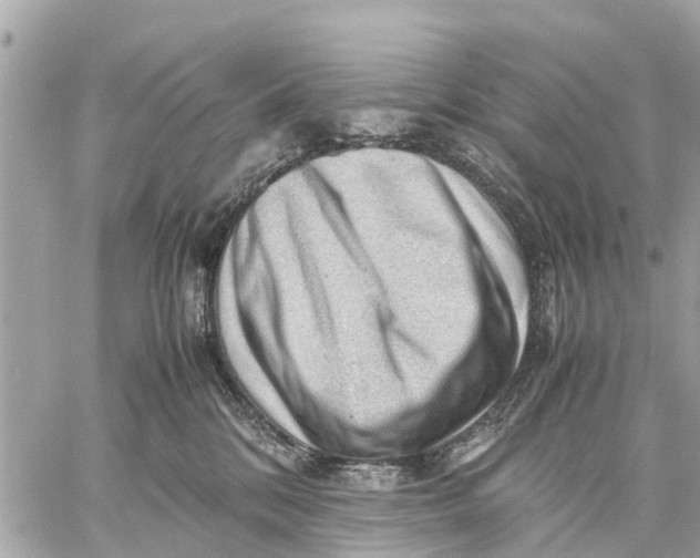 X0000059070328200510281704