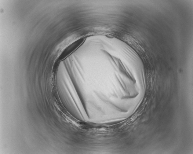 X0000059070338200510281703