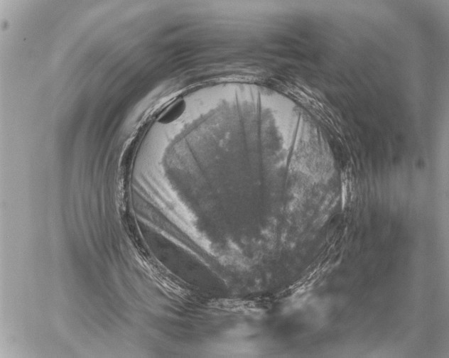 X0000059070339200510281703