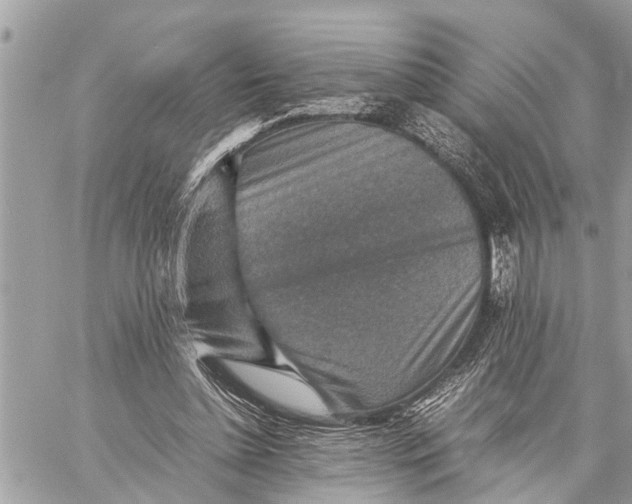 X0000059070348200510281703