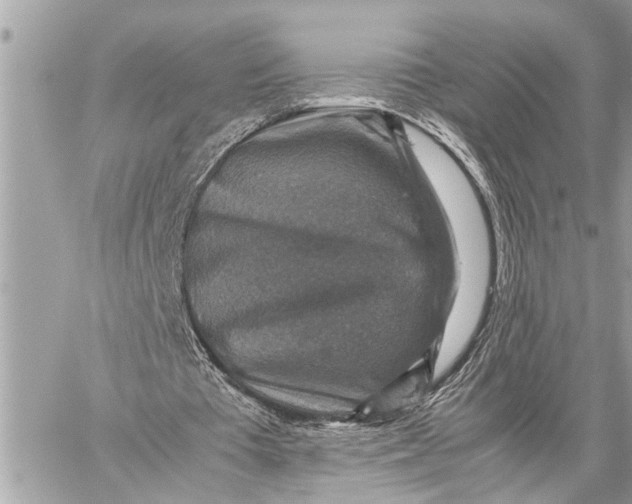 X0000059070385200510281703