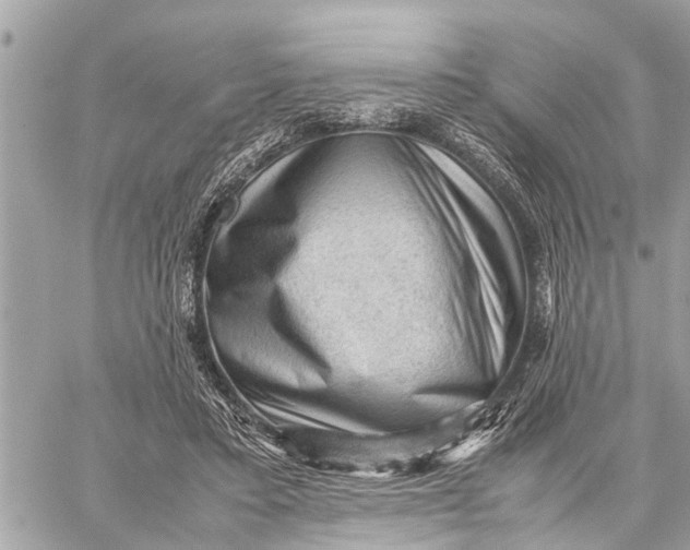 X0000059070403200510281703