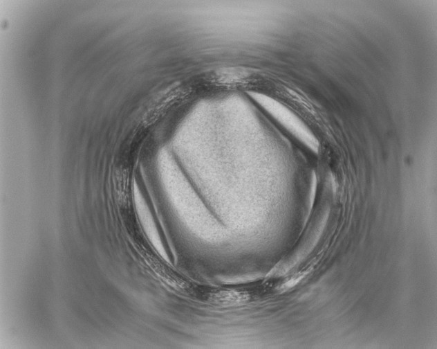 X0000059070421200510281703