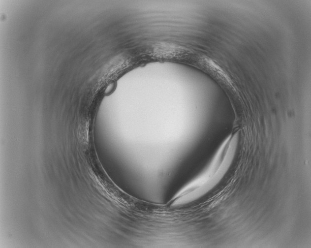 X0000059070454200510281702