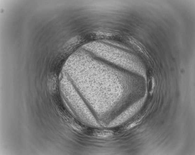 X0000059070463200510281702