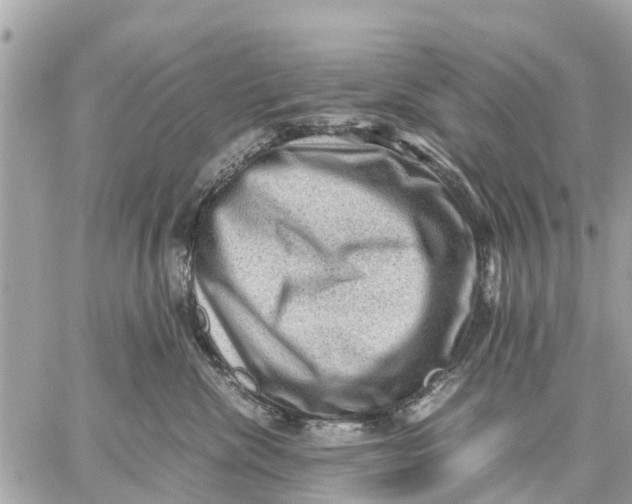 X0000059070476200510281702