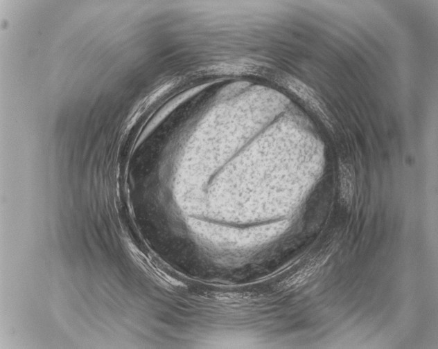 X0000059070486200510281702