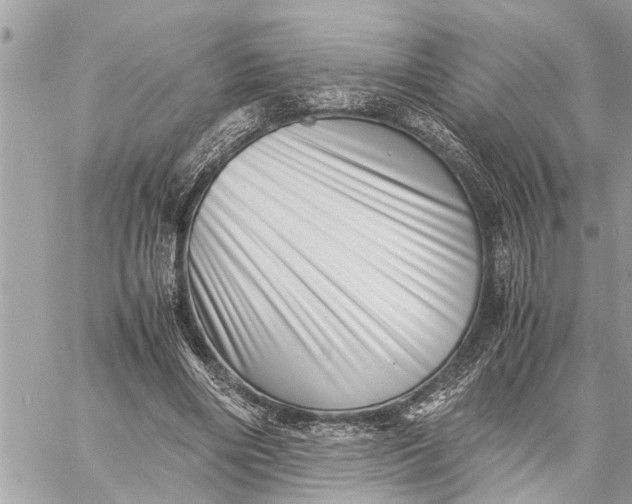 X0000059070490200510281701