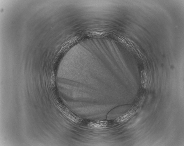 X0000059070563200510281701