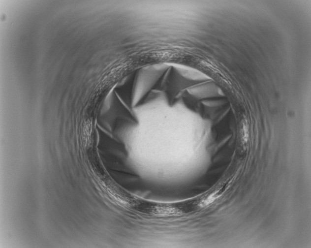 X0000059070605200510281700