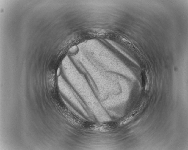 X0000059070612200510281659
