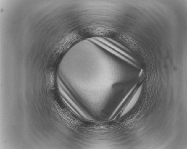 X0000059070646200510281659