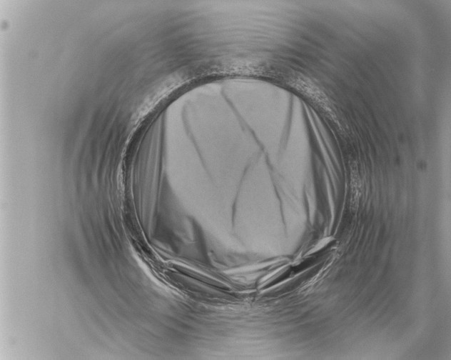 X0000059070674200510281658