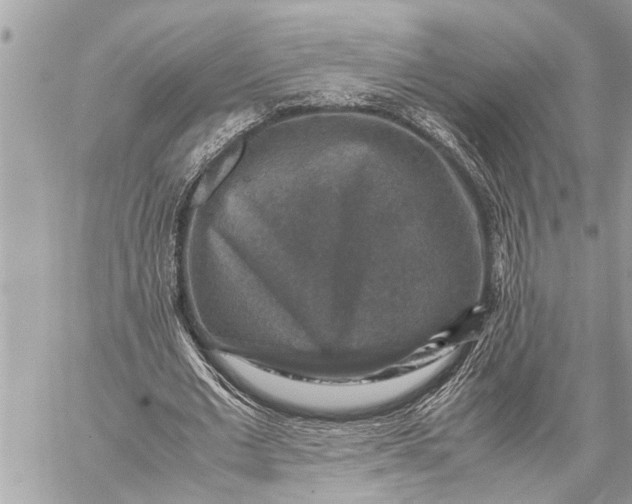 X0000059070677200510281658