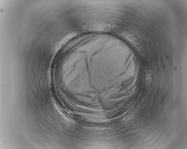 X0000059070678200510281658