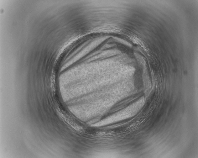 X0000059070680200510281658