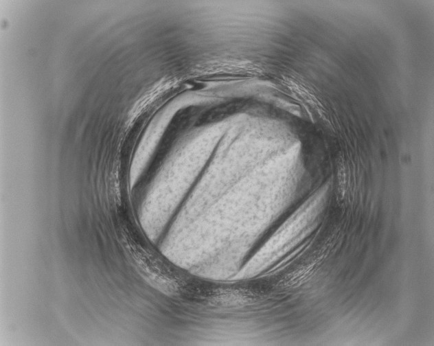 X0000059070682200510281658