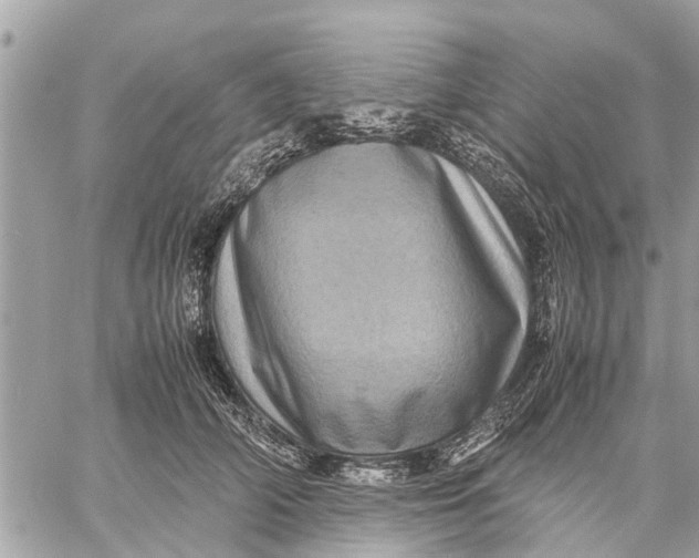 X0000059070706200510281658