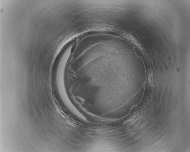X0000059070724200510281657