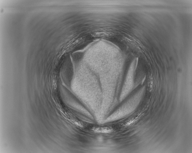 X0000059070751200510281657