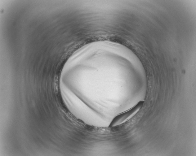 X0000059070768200510281658