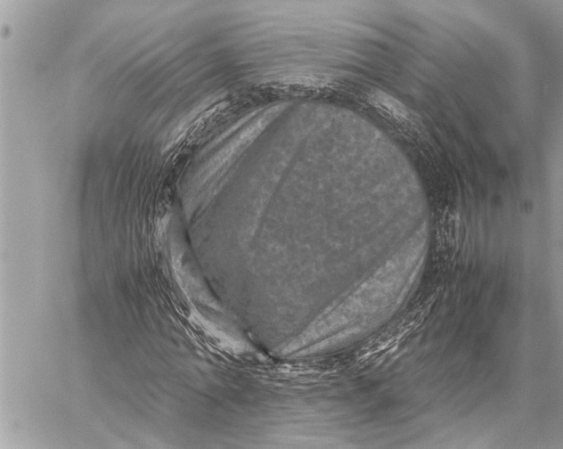X0000059070774200510281657