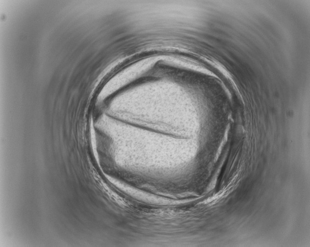 X0000059070799200510281656