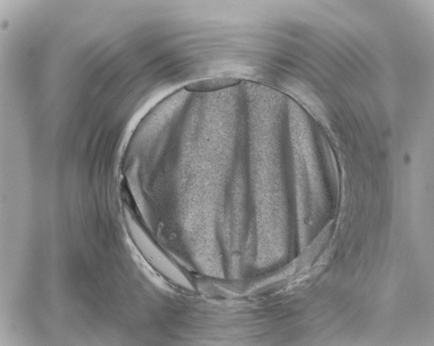 X0000059070816200510281656