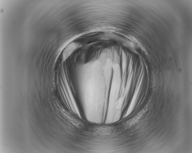 X0000059070830200510281656