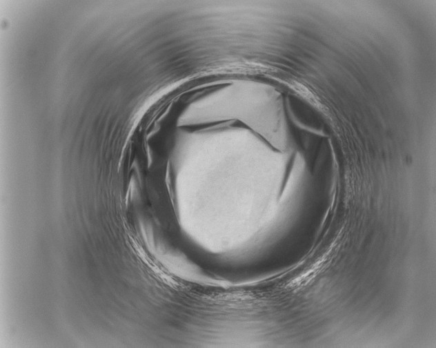 X0000059070838200510281656