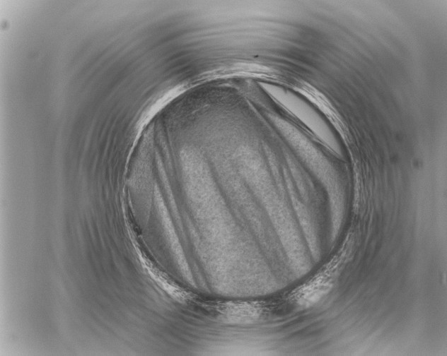 X0000059070850200510281656