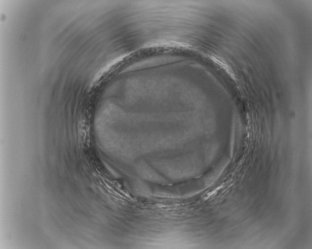 X0000059070872200510281655