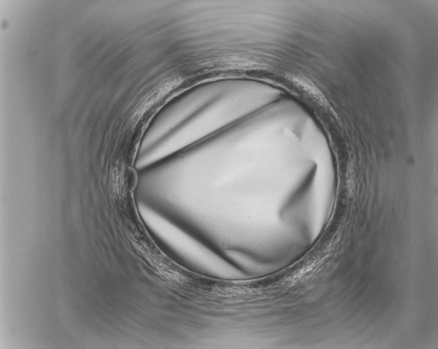 X0000059070873200510281655