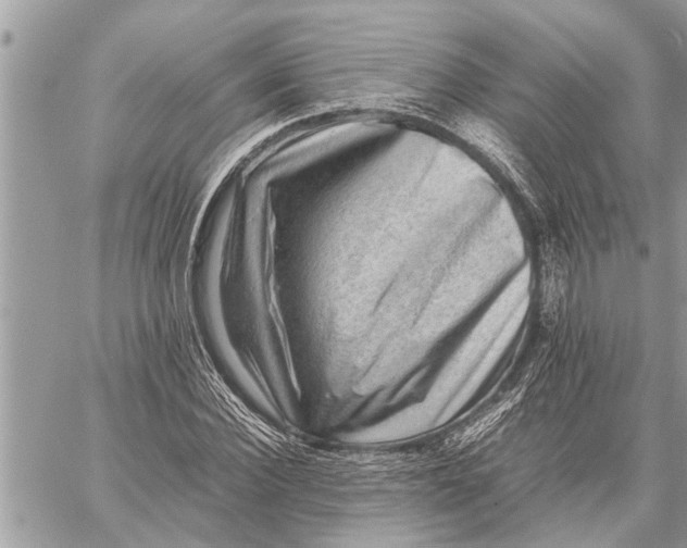X0000059070924200510281654