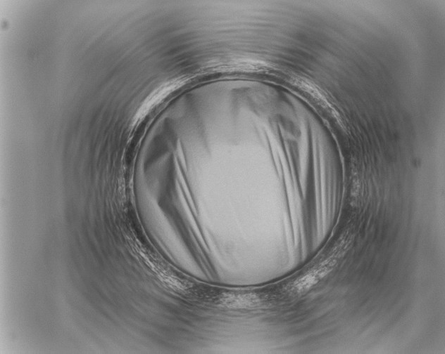 X0000059070978200510281653