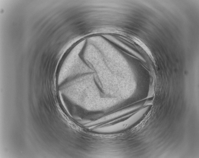 X0000059070996200510281653