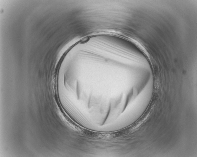 X0000059071003200510281653