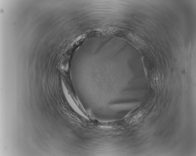 X0000059071010200510281652