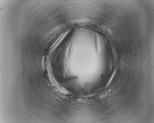 X0000059071062200510281652