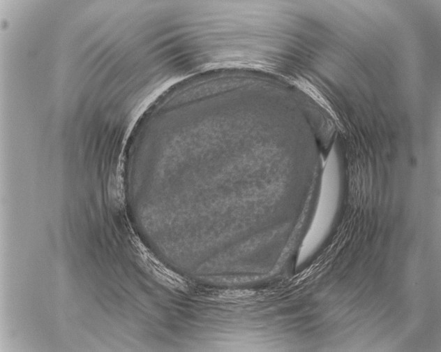 X0000059071068200510281652