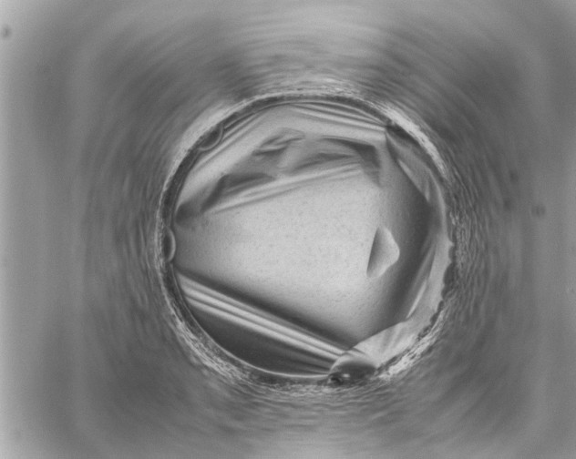 X0000059071085200510281652