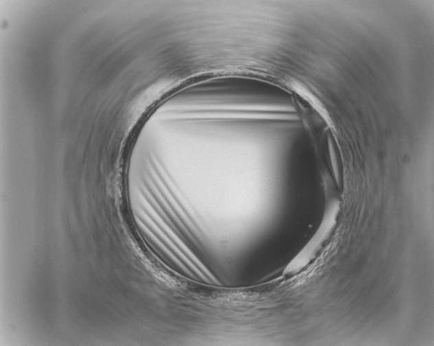 X0000059071093200510281652