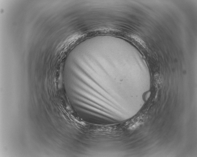 X0000059071111200510281651