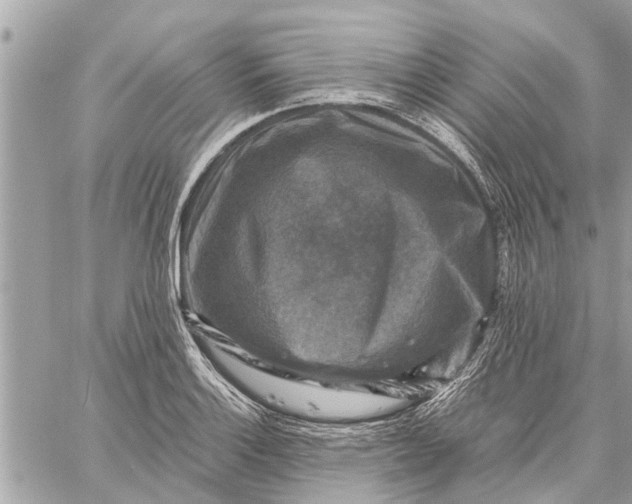 X0000059071132200510281651