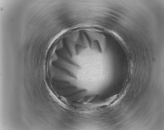 X0000059071134200510281651