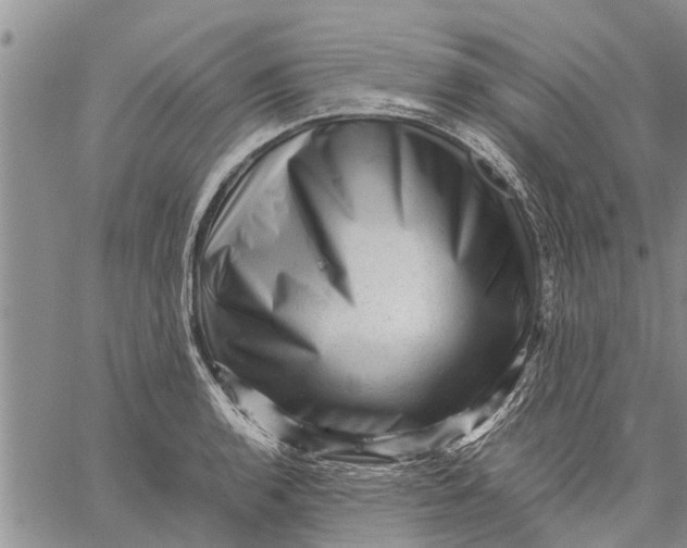 X0000059071136200510281651
