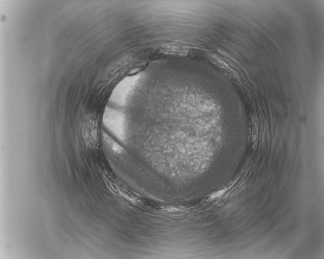 X0000059071154200510281651