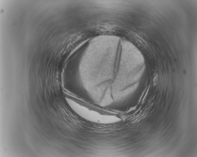 X0000059071156200510281651