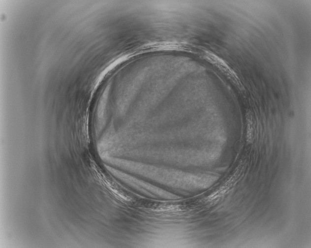 X0000059071174200510281650